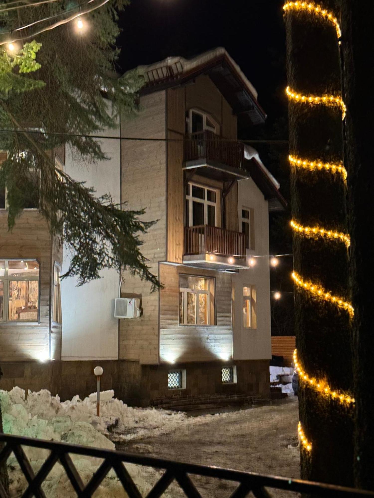 The Forest Villa ボロヴェッツ エクステリア 写真