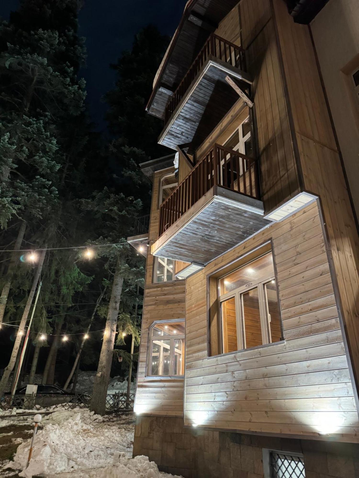 The Forest Villa ボロヴェッツ エクステリア 写真