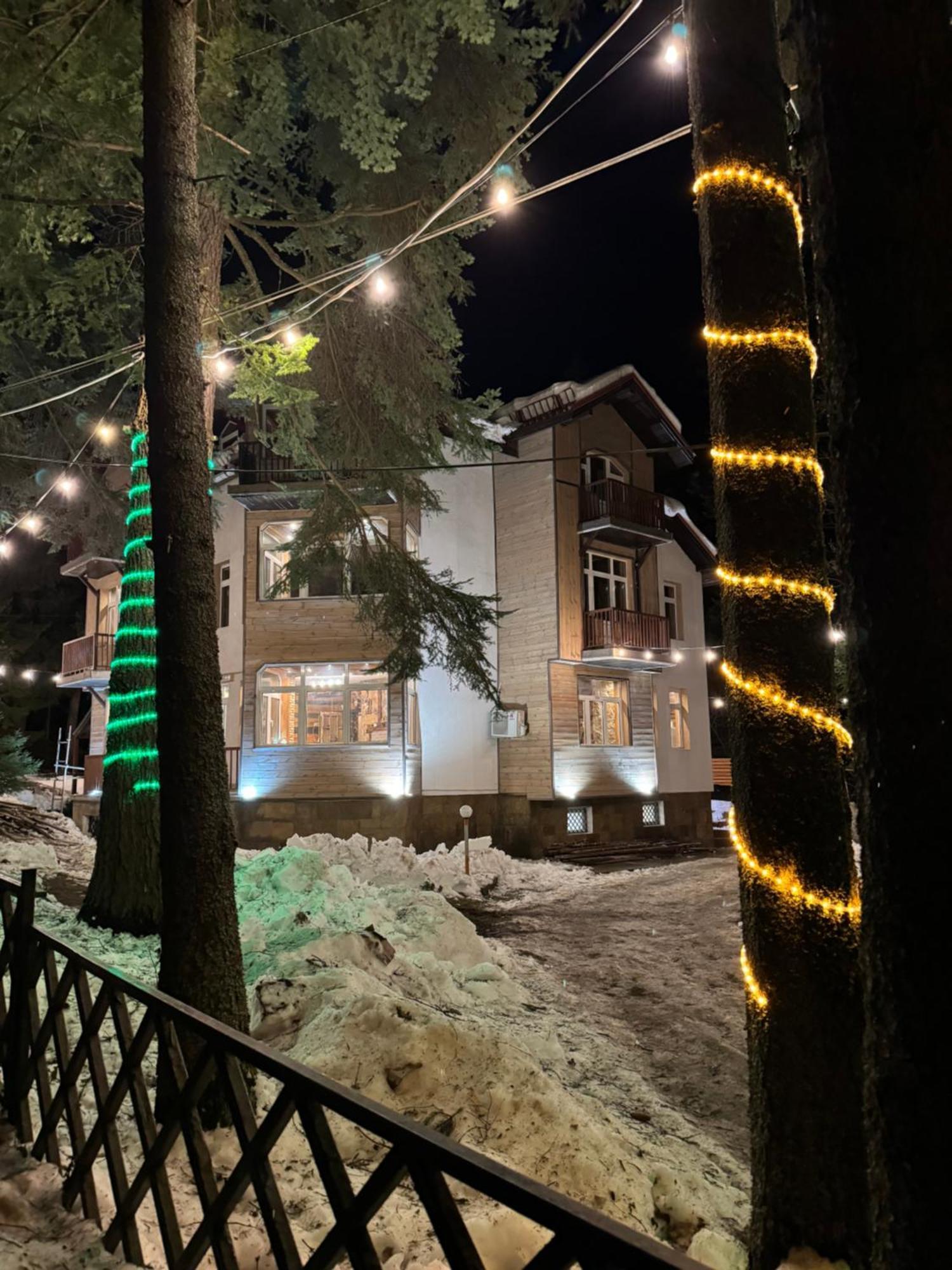 The Forest Villa ボロヴェッツ エクステリア 写真