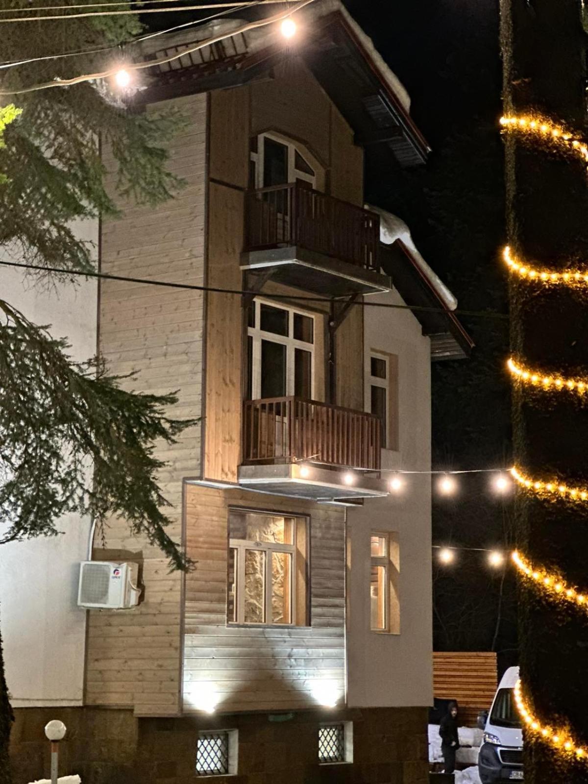 The Forest Villa ボロヴェッツ エクステリア 写真