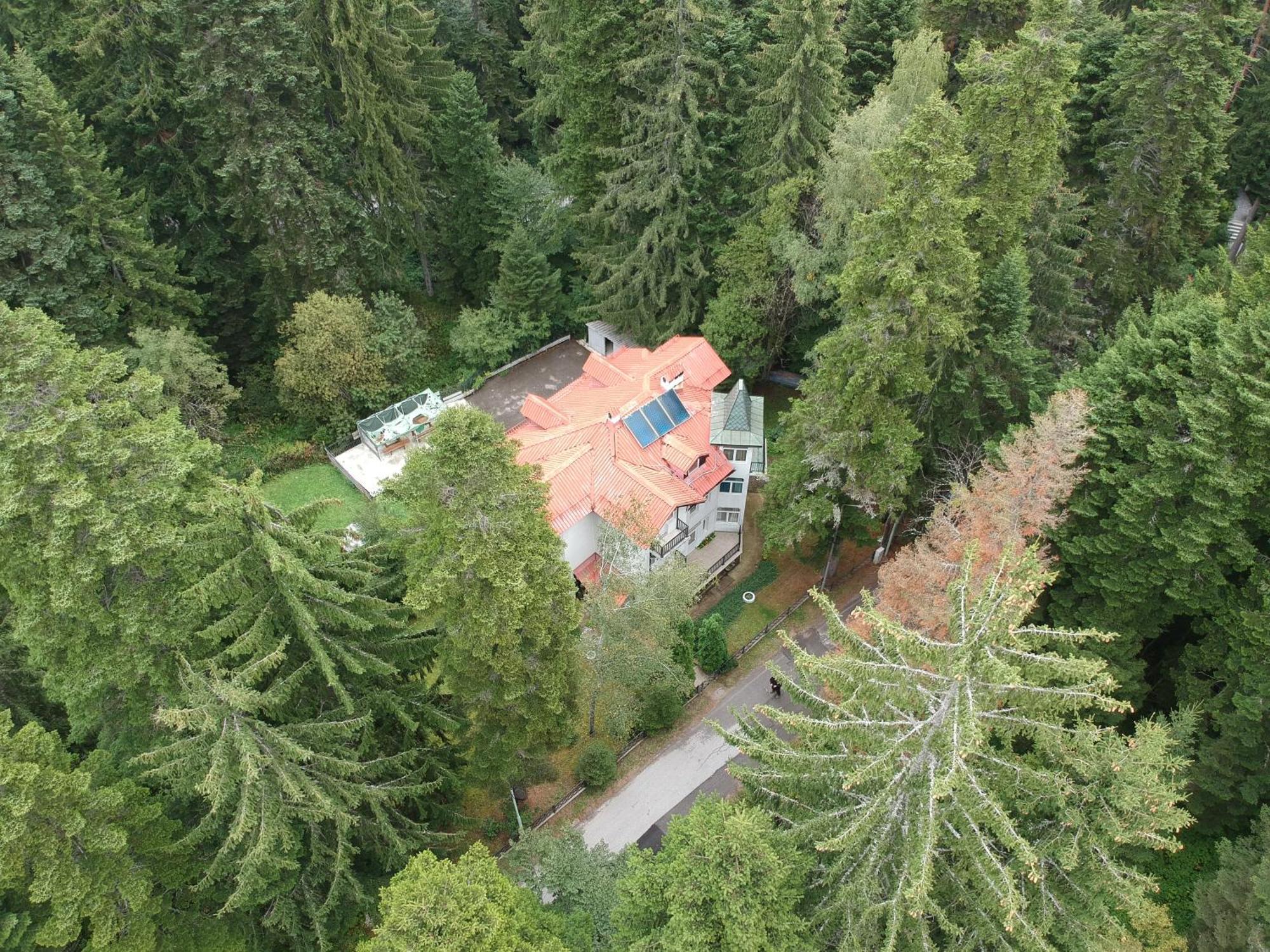 The Forest Villa ボロヴェッツ エクステリア 写真