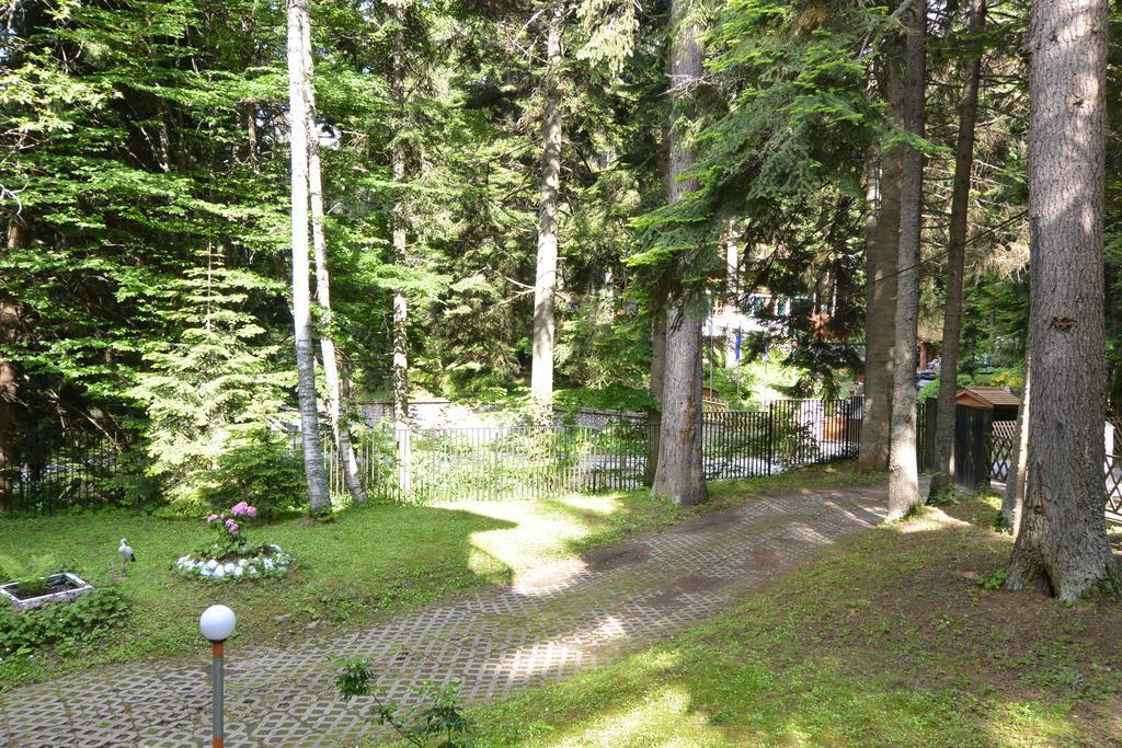 The Forest Villa ボロヴェッツ エクステリア 写真